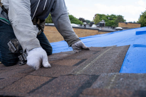 Best Commercial Roofing Services  in Albion, IN